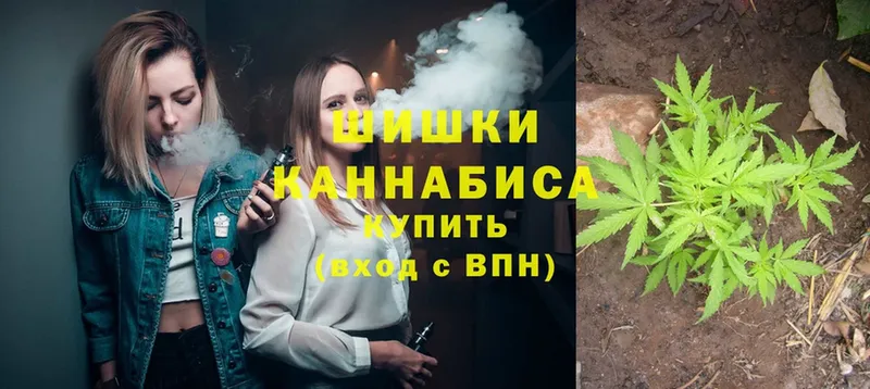 Бошки Шишки план  Белая Холуница 